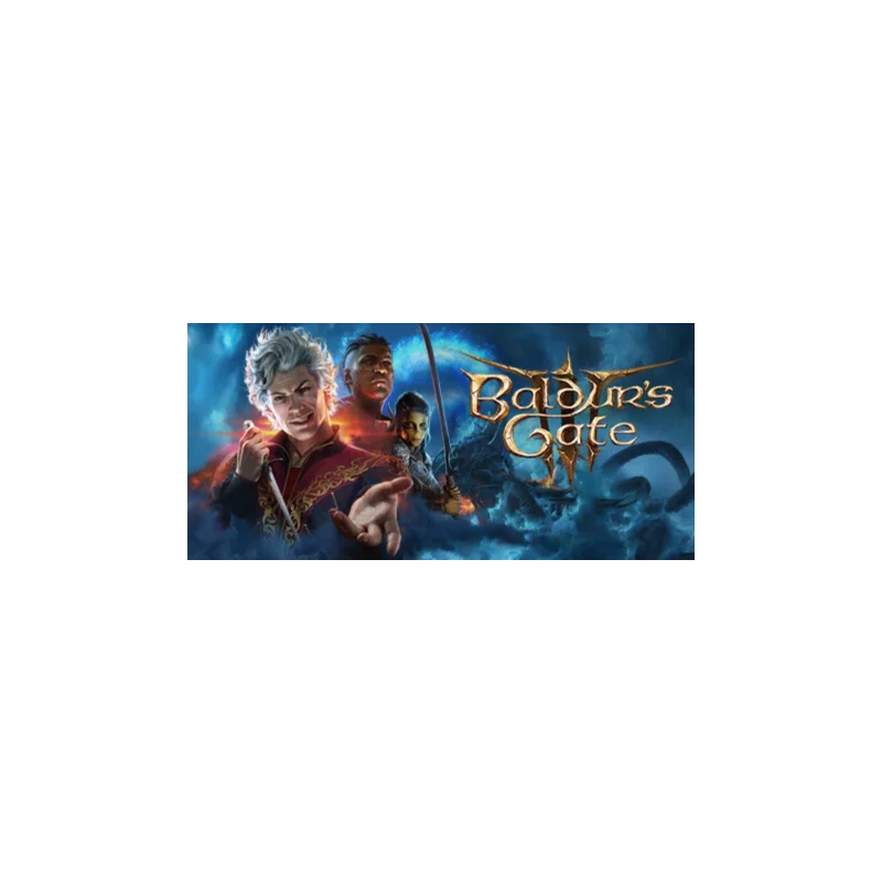 Baldur's Gate 3 III Steam Offline
