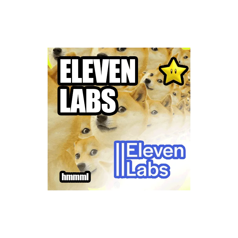 Eleven Labs TO YOUR ACCOUNT SUBSCRIPTION