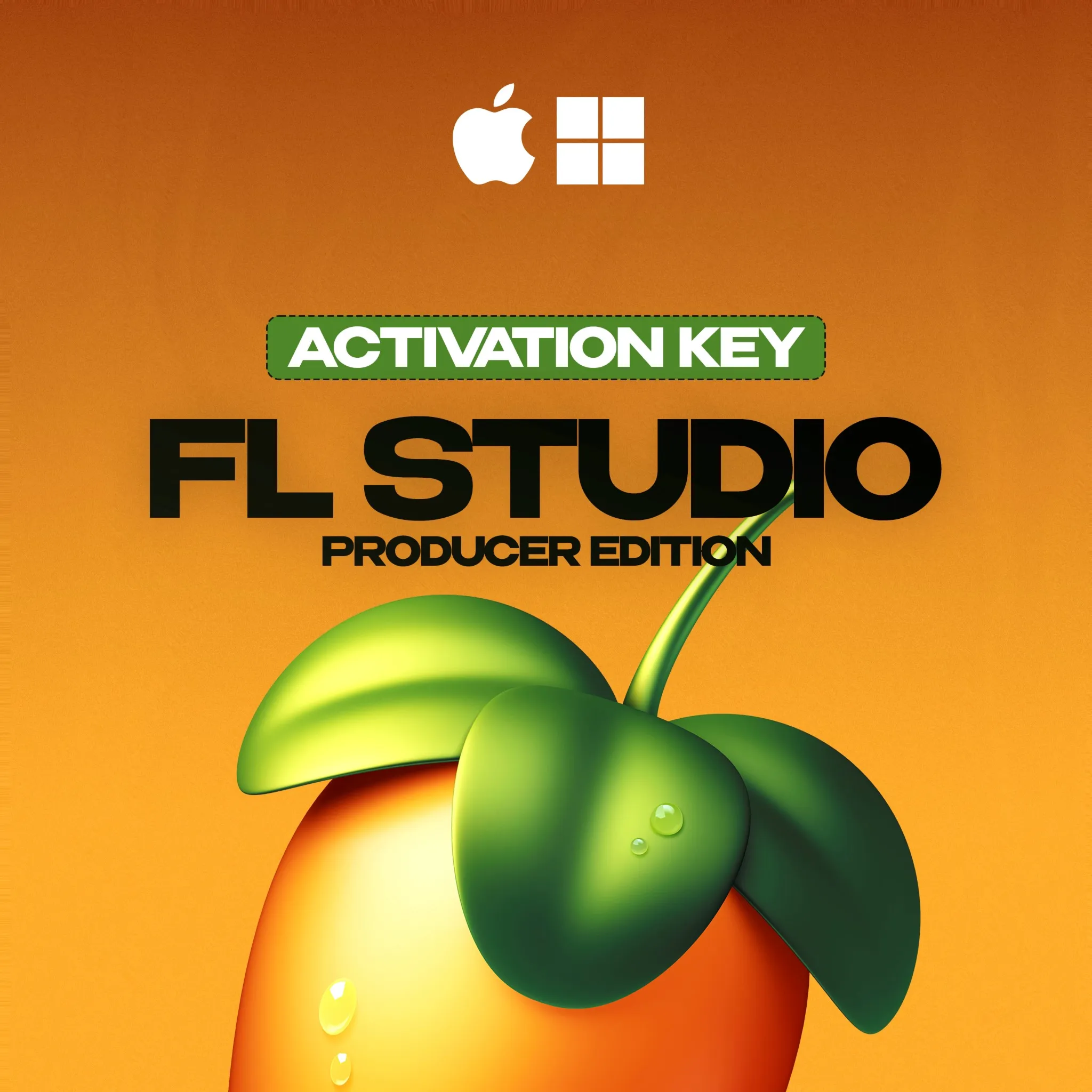 FL STUDIO 2025 PRODUCER EDITION [LIFETIME]