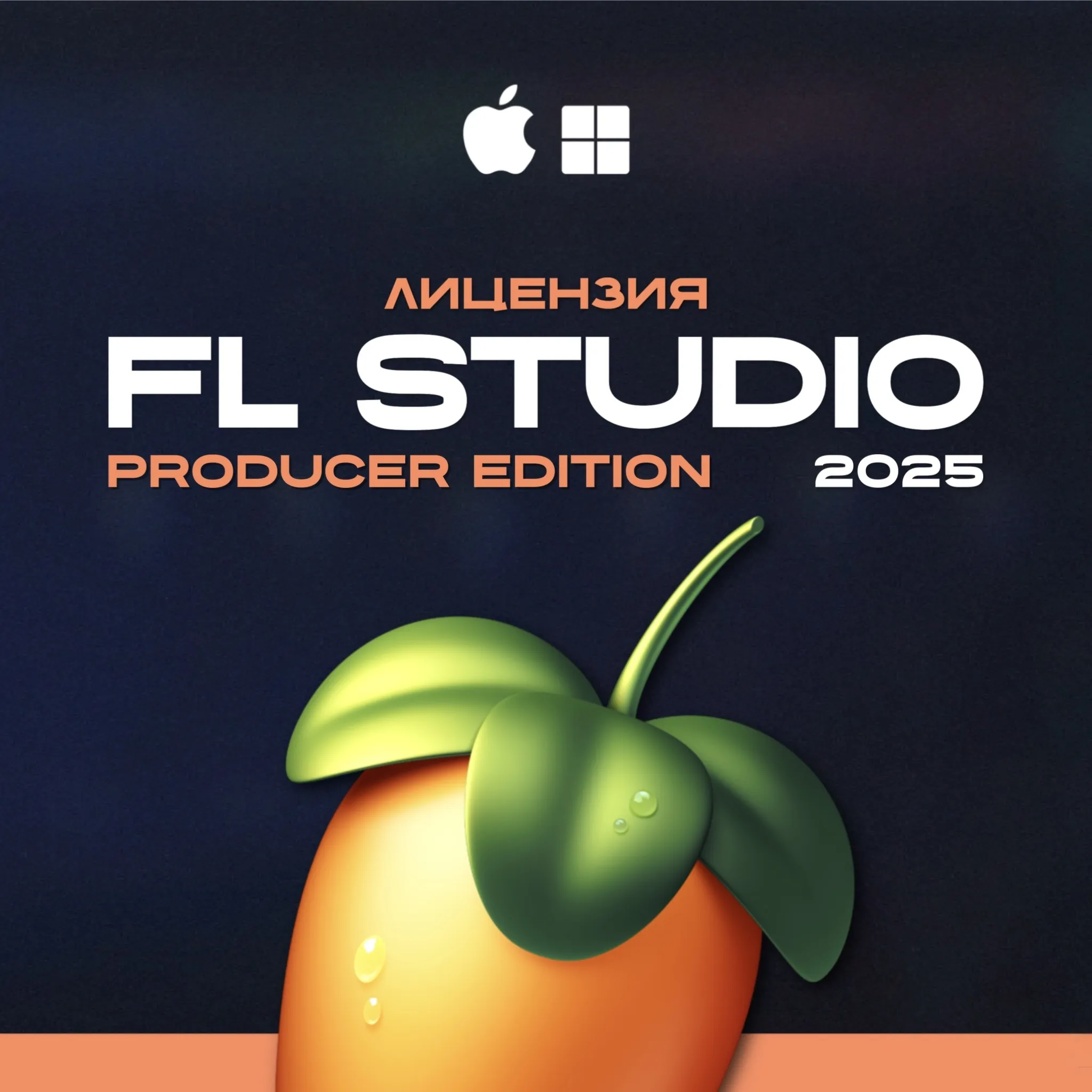 FL Studio 2025 Producer Edition (Lifetime