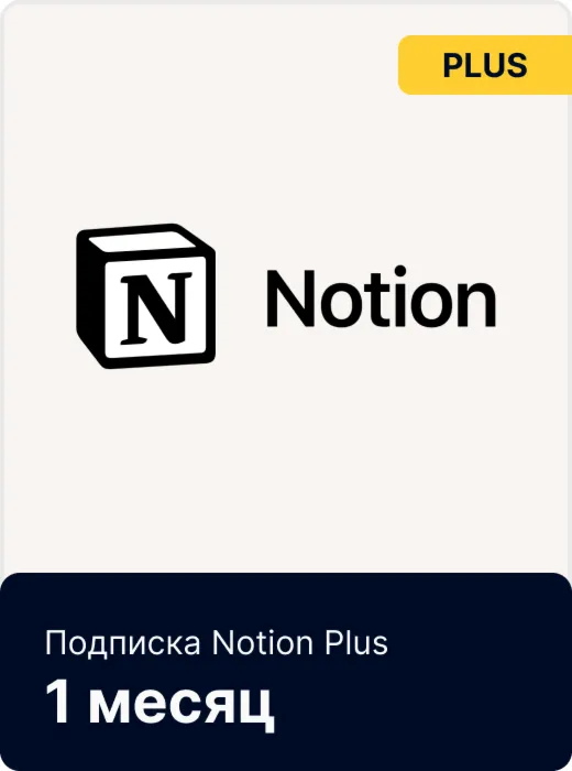 Notion Plus/Business Subscription