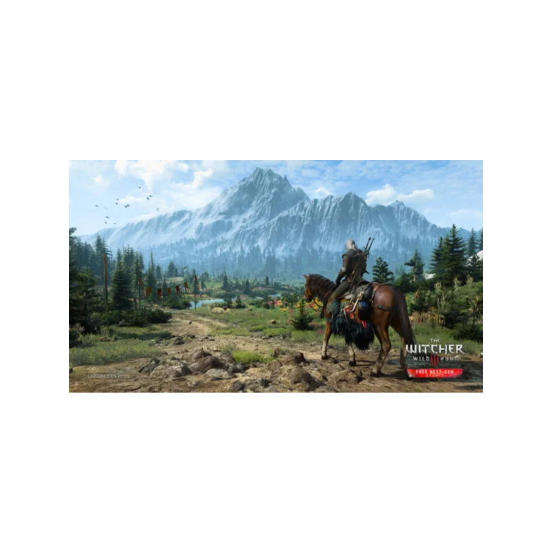 The Witcher 3 III Wild Hunt Steam Offline