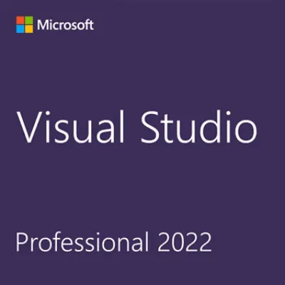 Visual Studio 2022 Professional / Perpetual